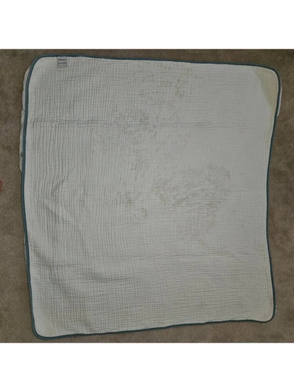 Addison Belle 100% Organic Cotton Muslin Blanket 39x42 Dinosaur Print READ